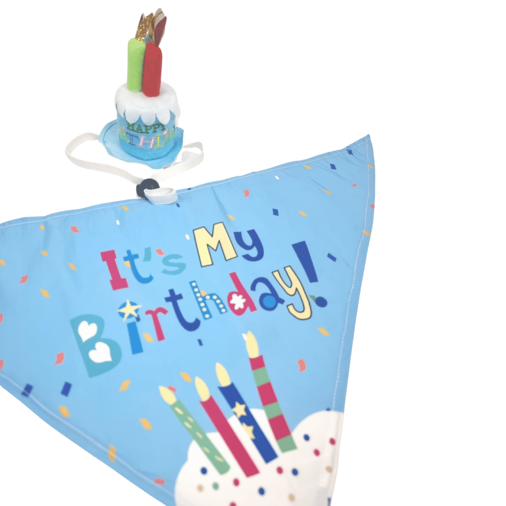 Happy Birthday Cake Hat & Bandana Set - Blue