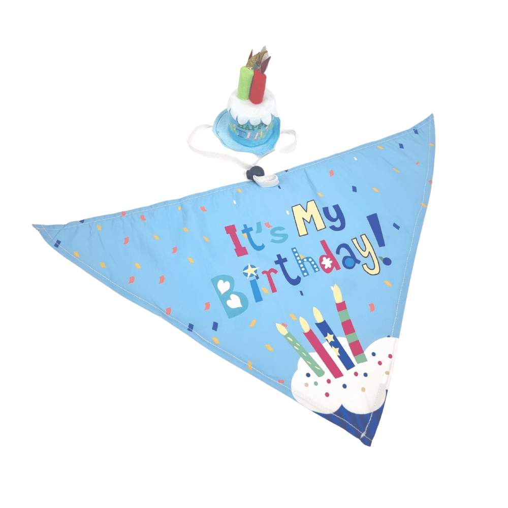 Happy Birthday Cake Hat & Bandana Set - Blue