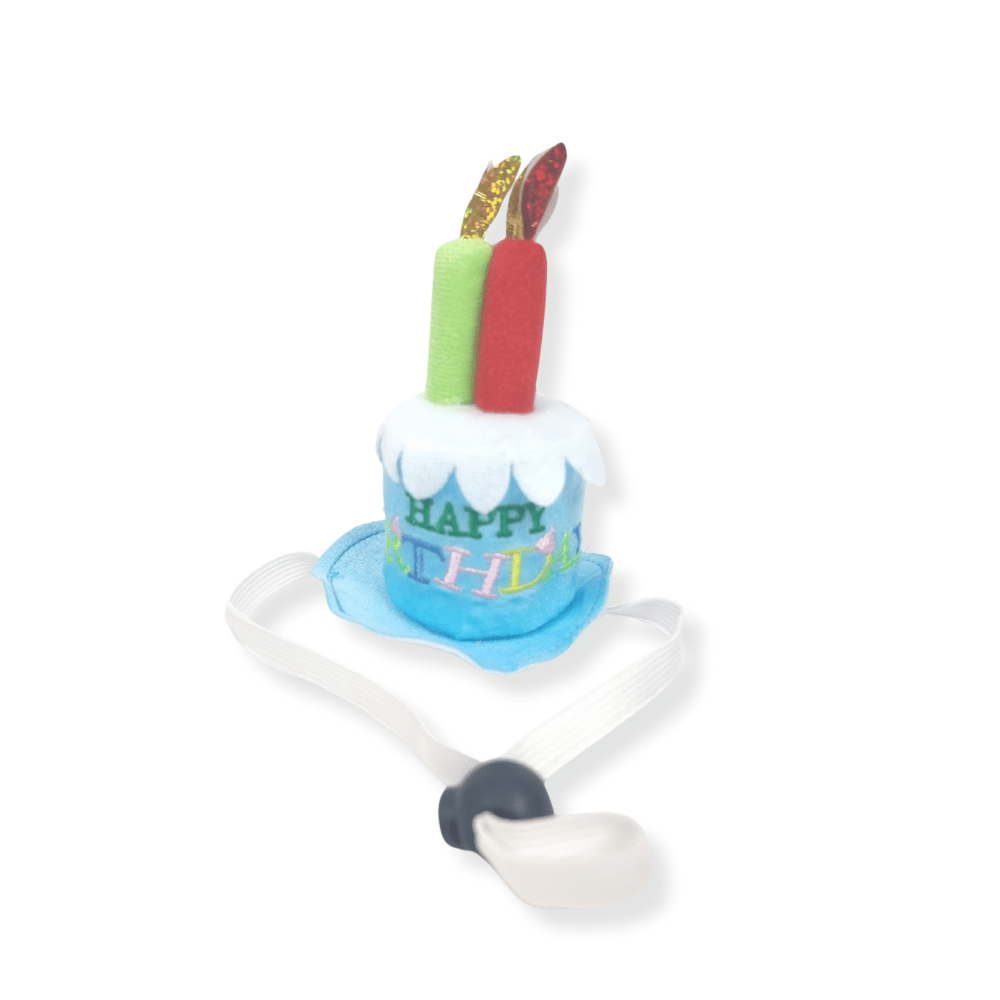Happy Birthday Cake Hat & Bandana Set - Blue