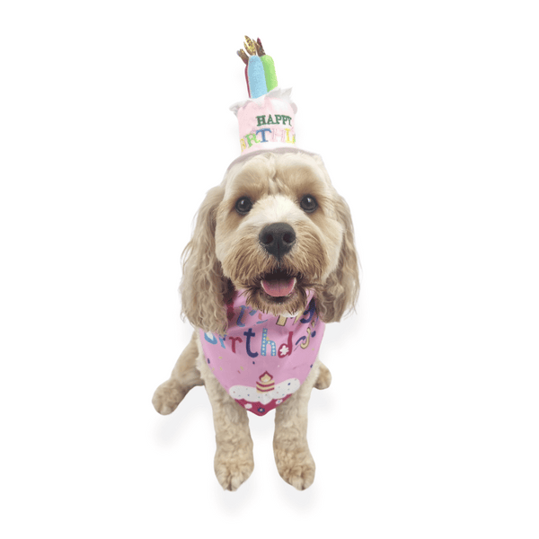 Happy Birthday Cake Hat & Bandana Set - Pink