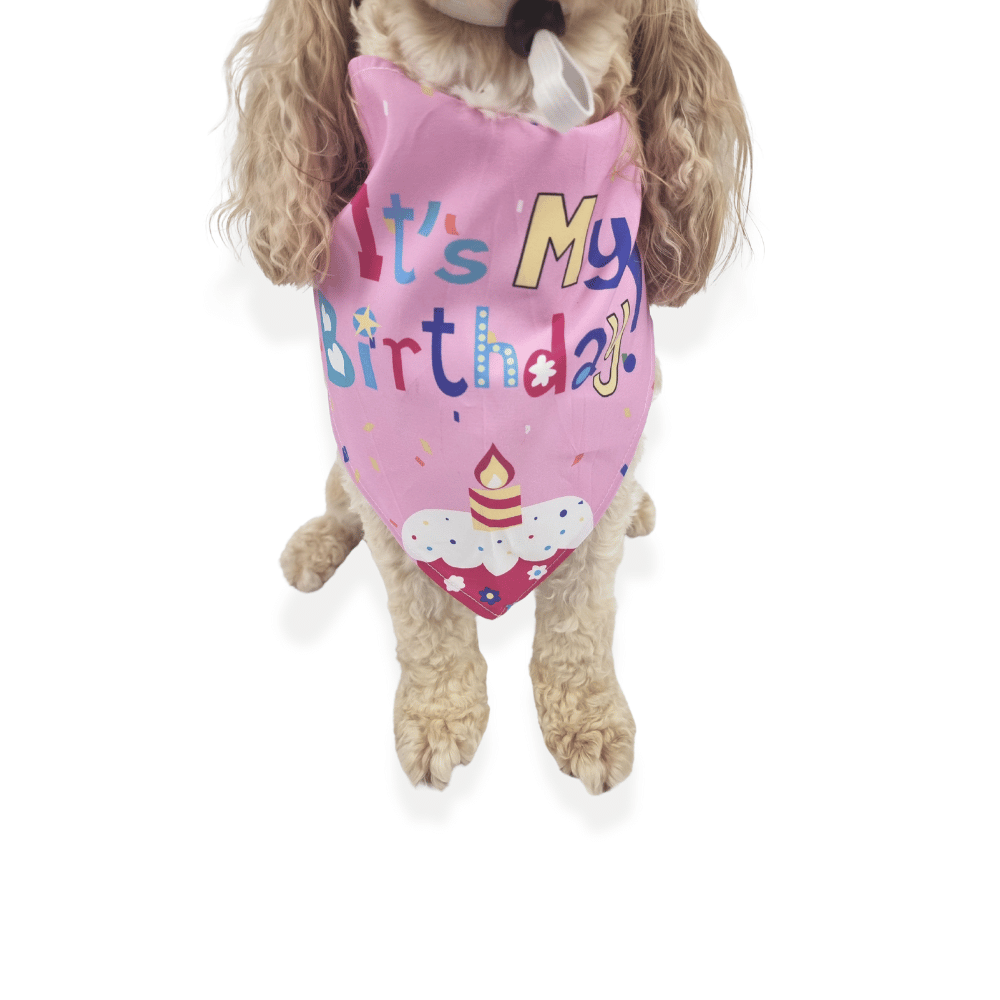Happy Birthday Cake Hat & Bandana Set - Pink