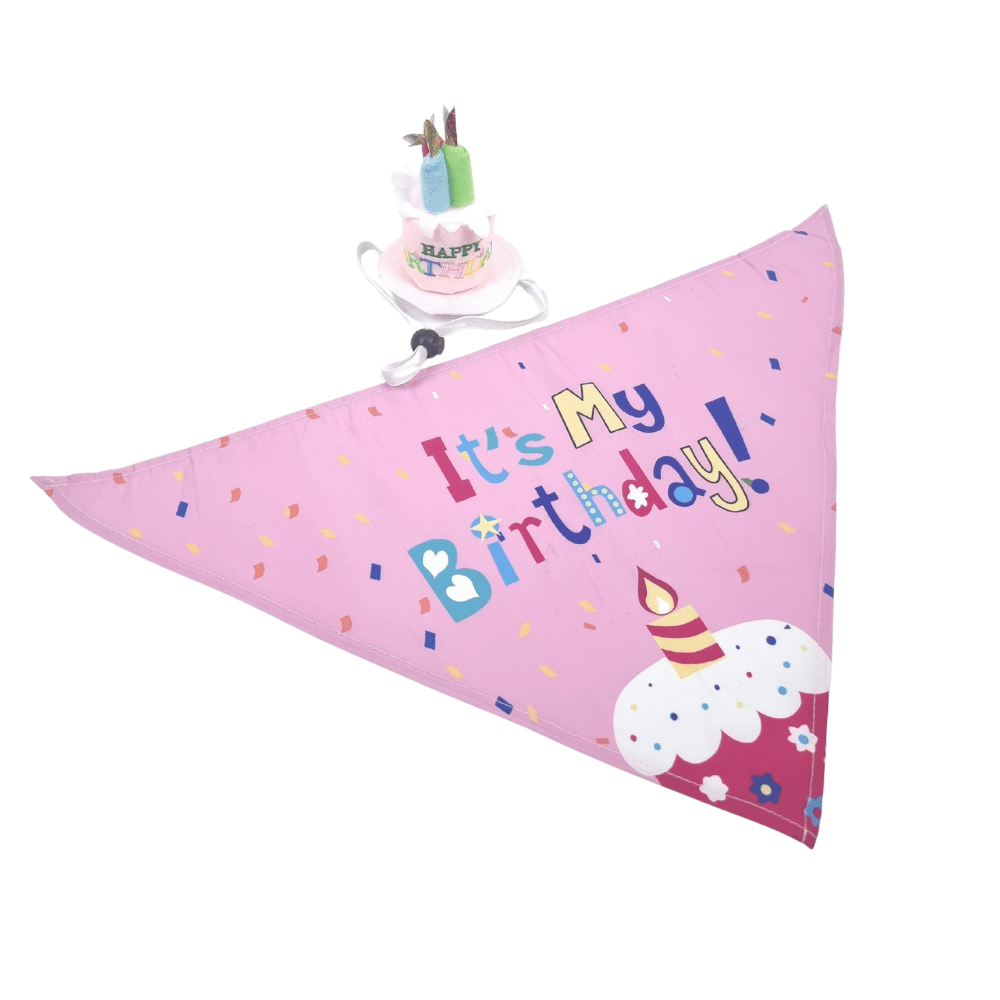 Happy Birthday Cake Hat & Bandana Set - Pink