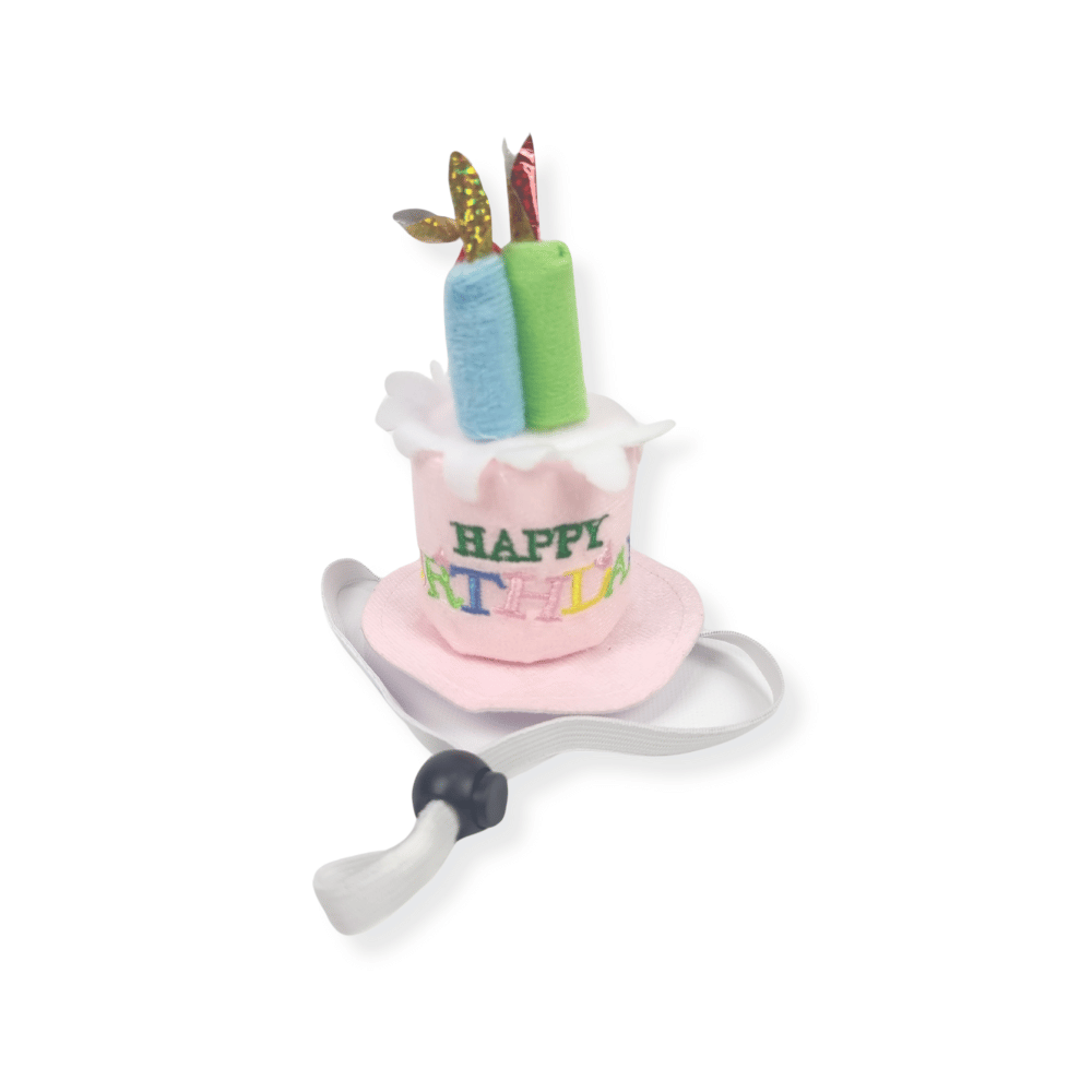Happy Birthday Cake Hat & Bandana Set - Pink