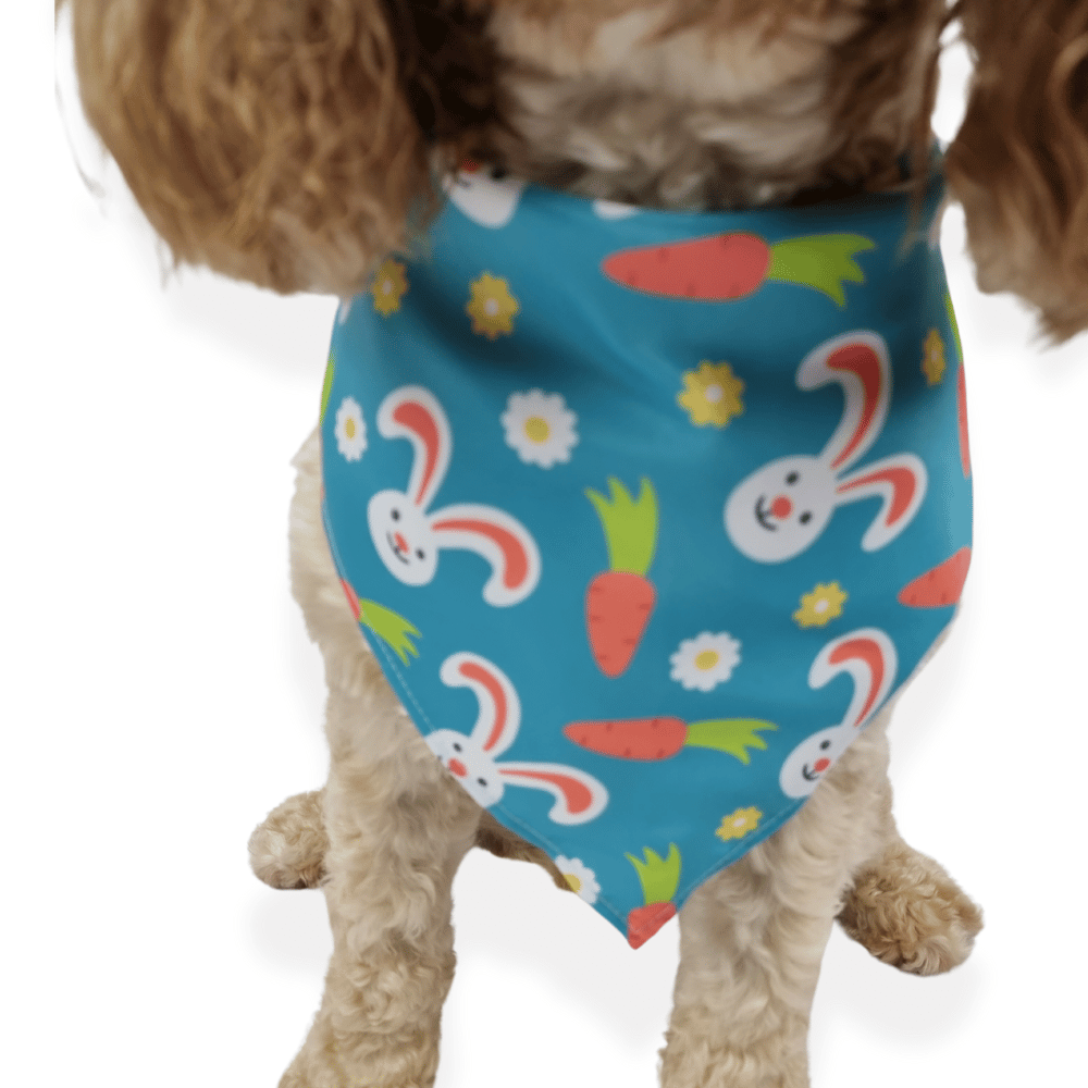 Hopping For Carrots Bandana