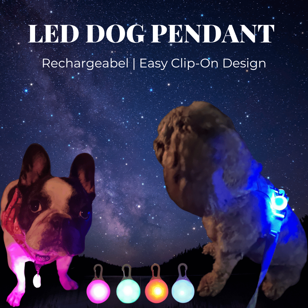 LED Dog Pendant Rechargeable