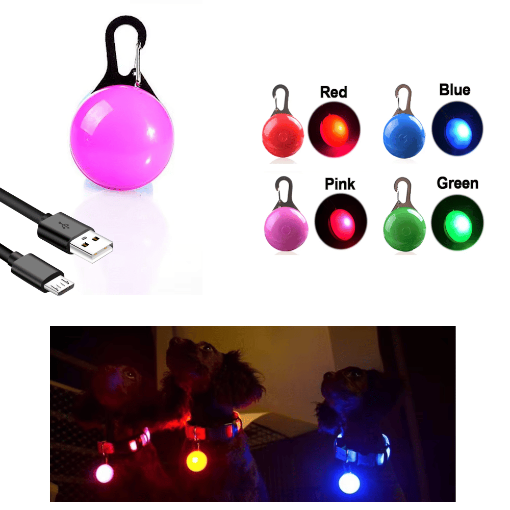 LED Dog Pendant Rechargeable