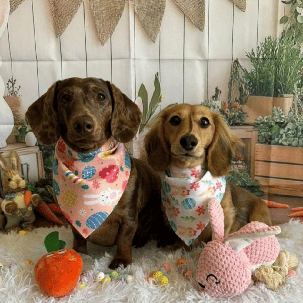 Bunny Egg Hunt Bandana