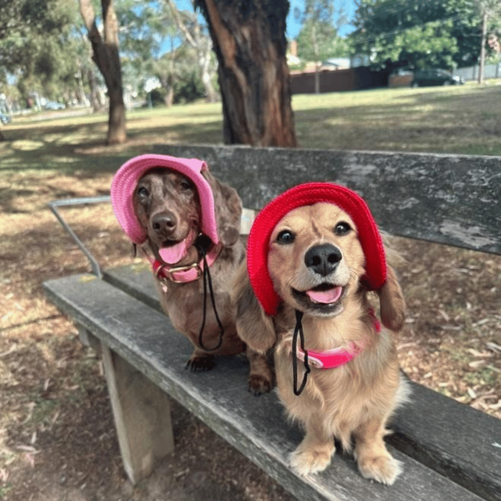 Full Brim Dog Sun Hat Red