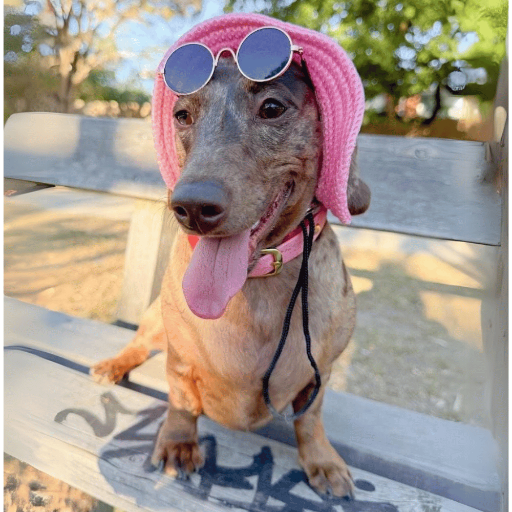 Full Brim Dog Sun Hat Pink