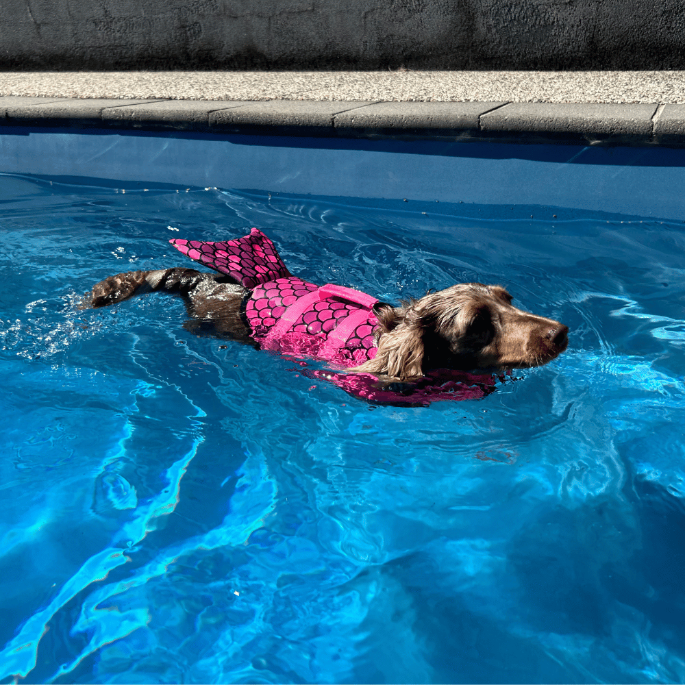 Mermaid Dog Life Jacket