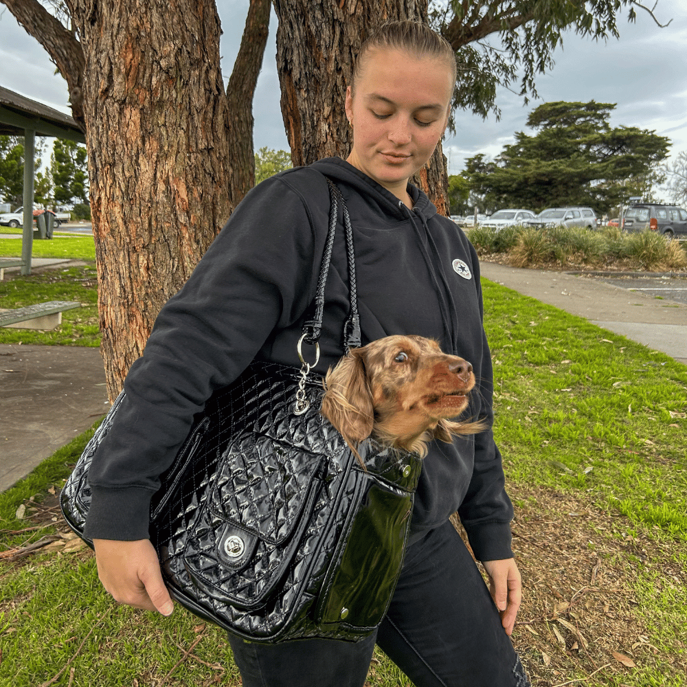 Quilted Patent Dog Carrier - Black