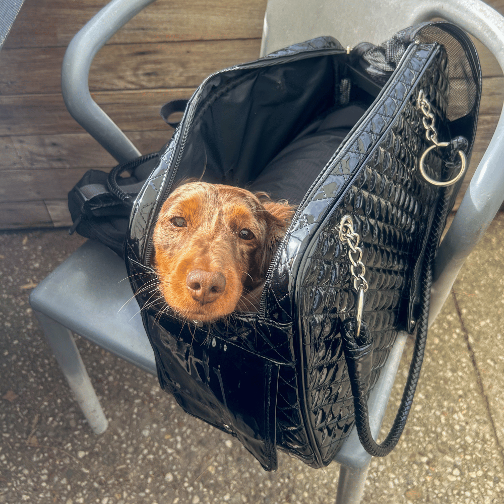 Quilted Patent Dog Carrier - Black