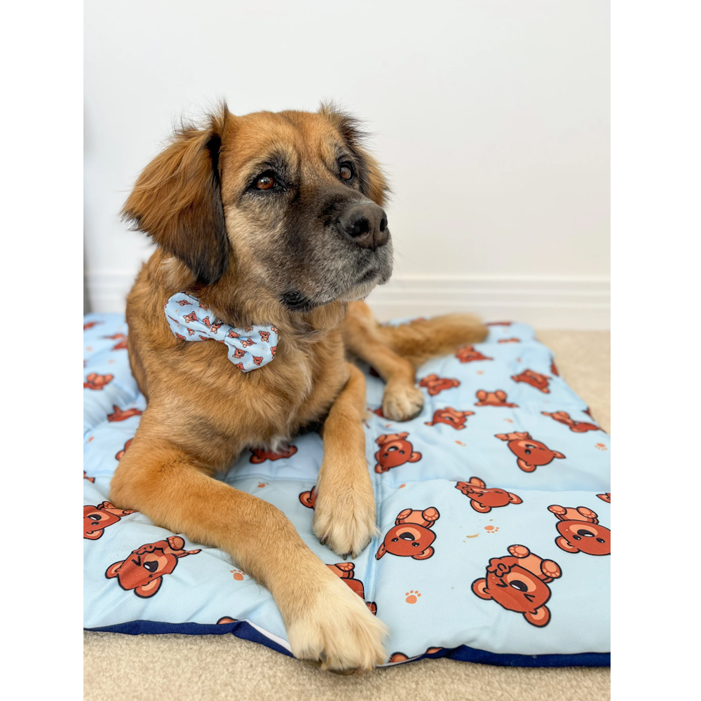 On the Go Pet Mat: Cuddle Club