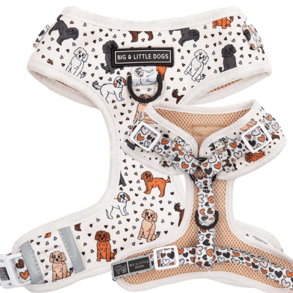 Big & Little Dogs Adjustable Harness: Oodles of Love