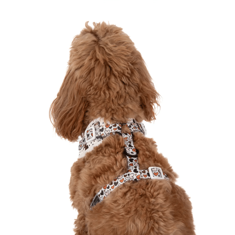 Big & Little Dogs Adjustable Harness: Oodles of Love