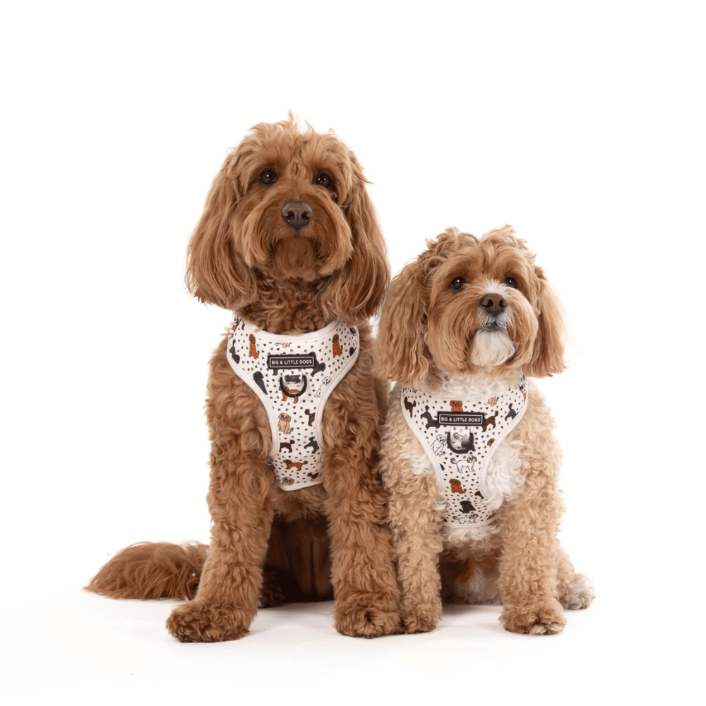 Big & Little Dogs Adjustable Harness: Oodles of Love
