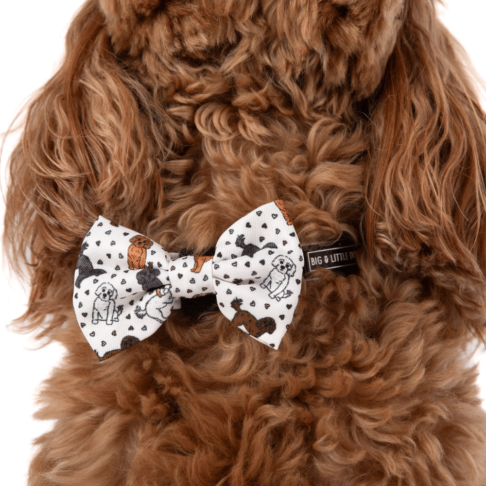Big & Little Dogs Collar & Bow Tie: Oodles of Love