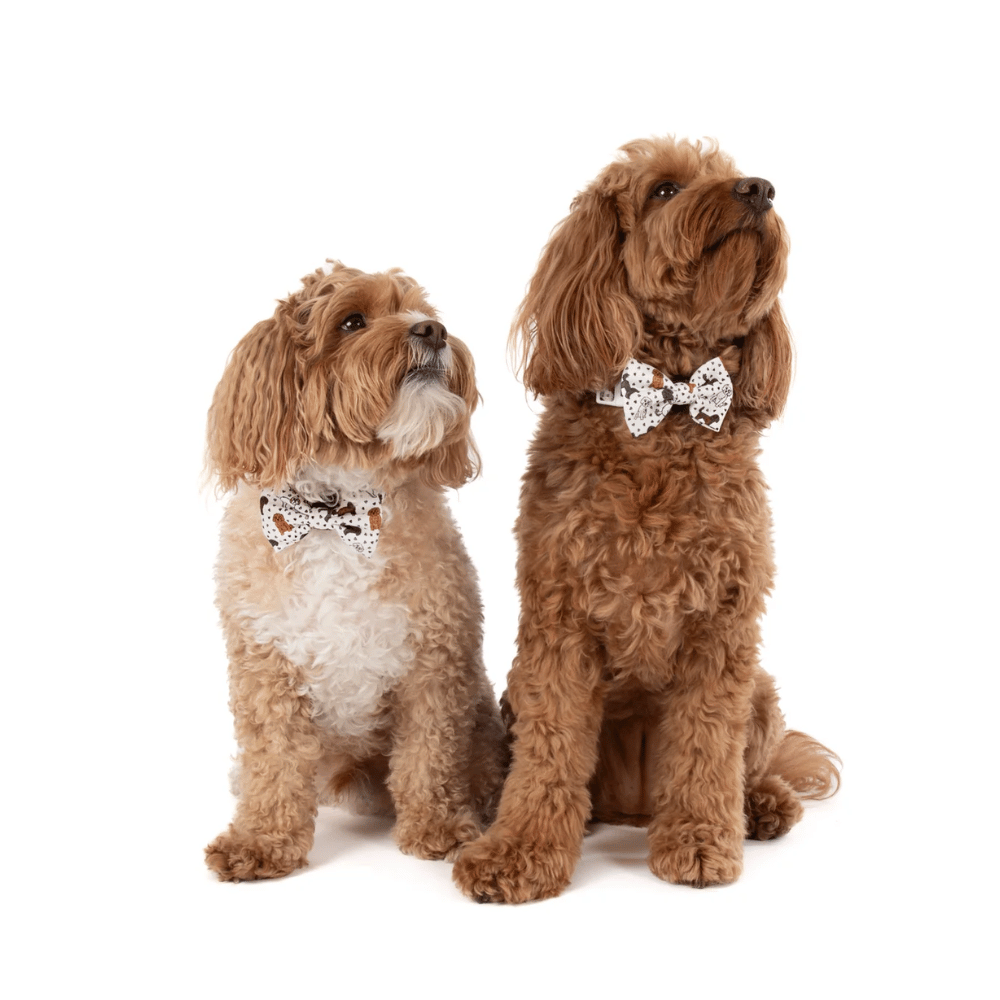 Big & Little Dogs Collar & Bow Tie: Oodles of Love