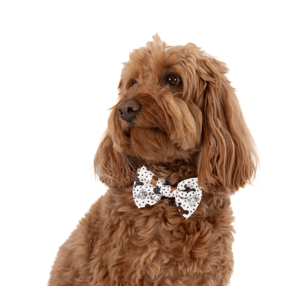 Big & Little Dogs Collar & Bow Tie: Oodles of Love