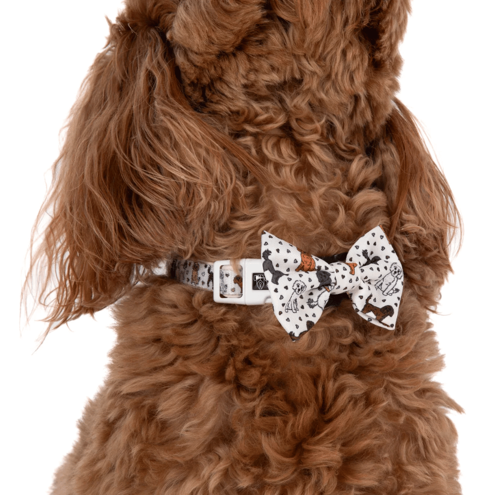 Big & Little Dogs Collar & Bow Tie: Oodles of Love
