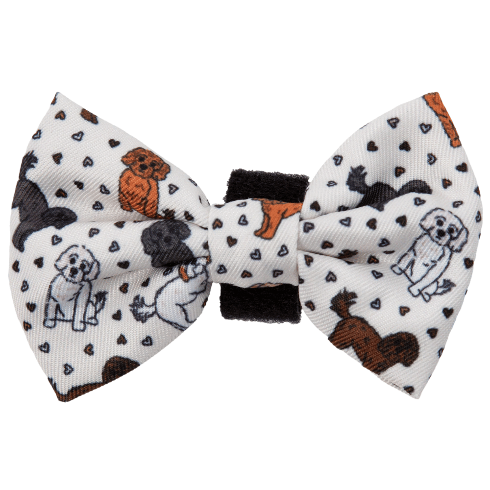 Big & Little Dogs Collar & Bow Tie: Oodles of Love