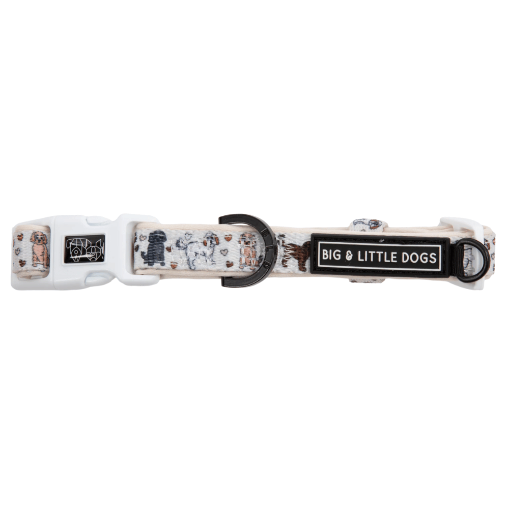 Big & Little Dogs Collar & Bow Tie: Oodles of Love