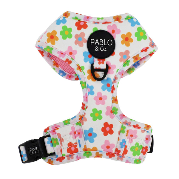 Pablo & Co Posey Adjustable Harness