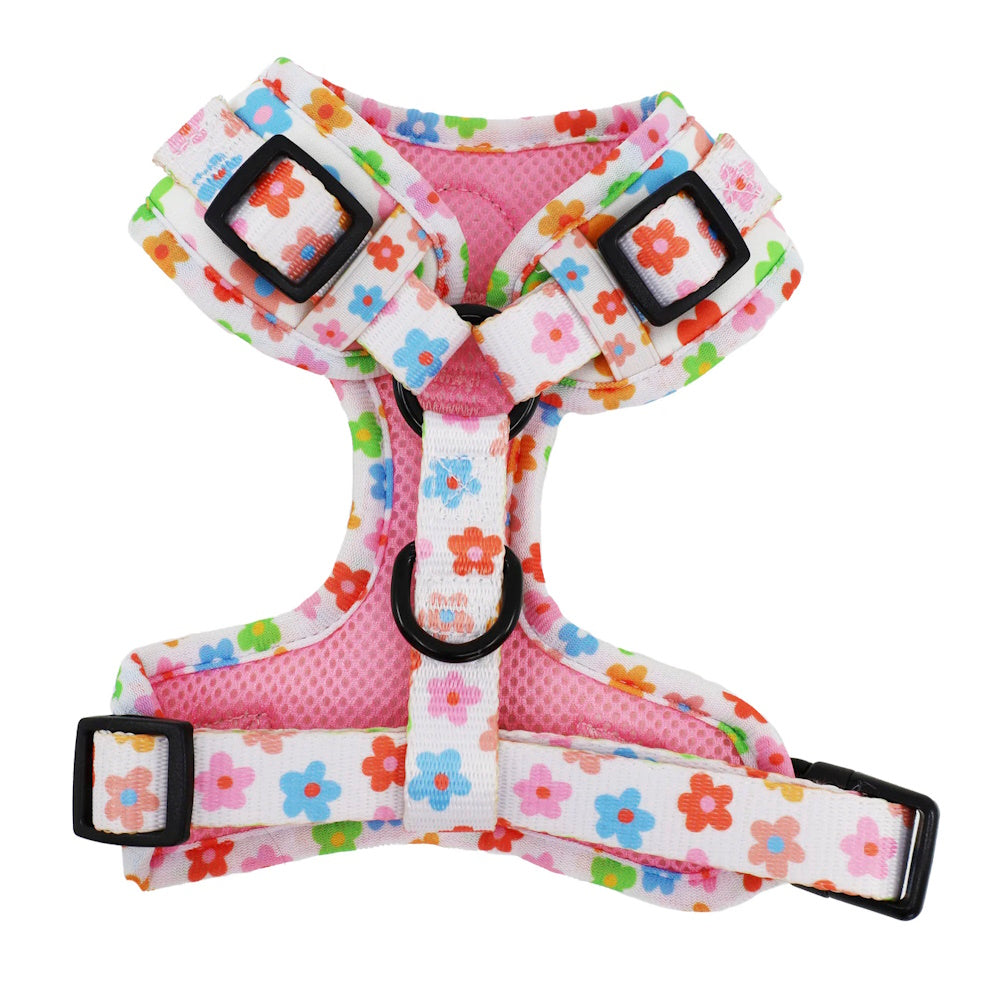 Pablo & Co Posey Adjustable Harness