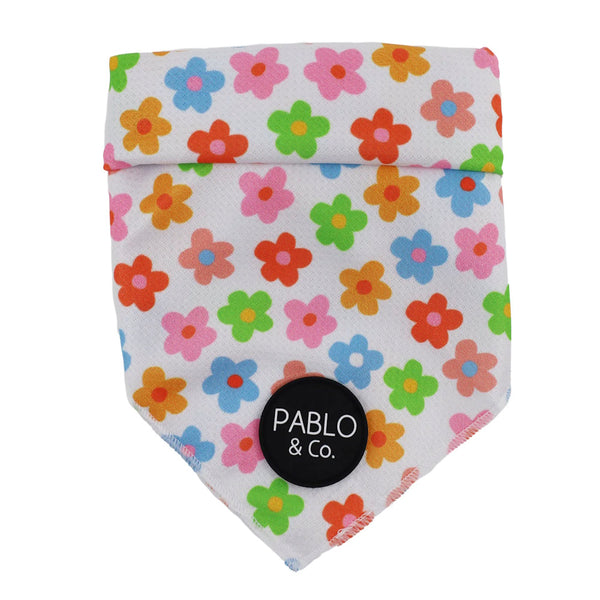 Pablo & Co Posey Dog Bandana