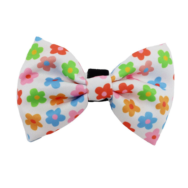 Pablo & Co Posey Bow Tie