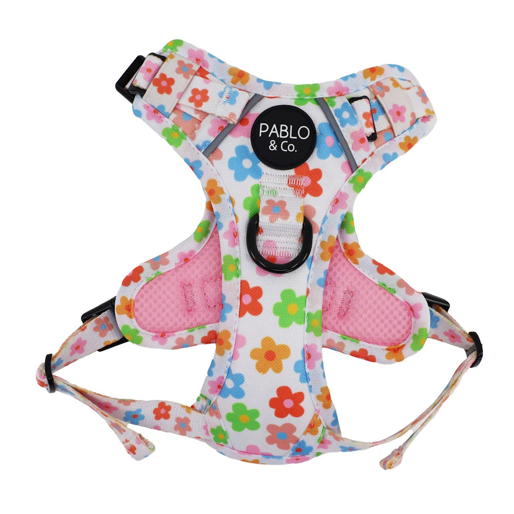 Pablo & Co Posey No Pull Harness