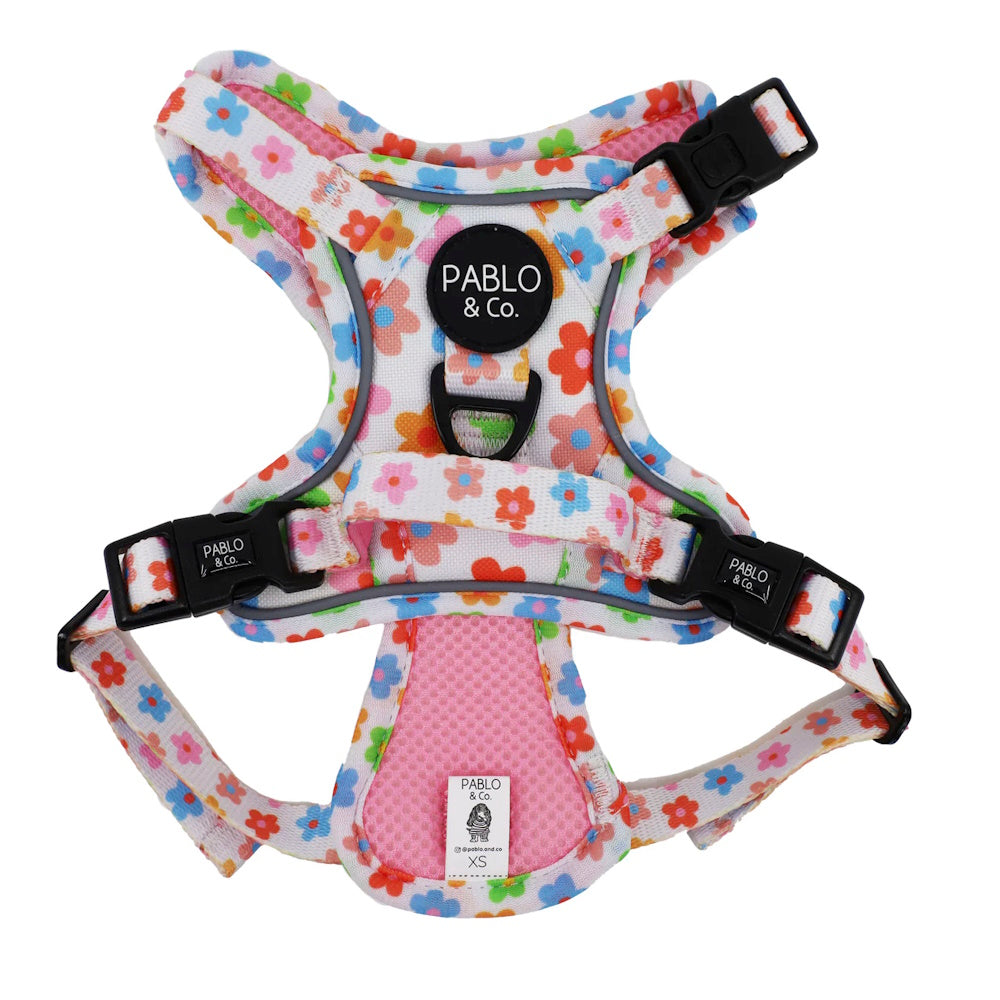 Pablo & Co Posey No Pull Harness