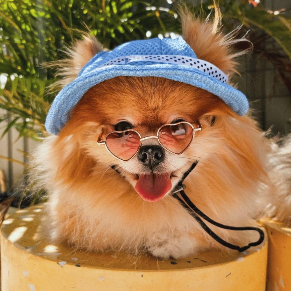Round Fashion Dog Sunglasses