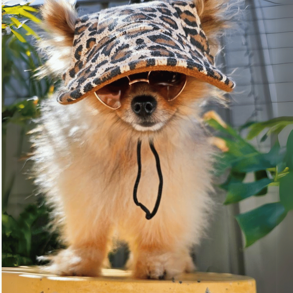 Dog Cap - Camouflage