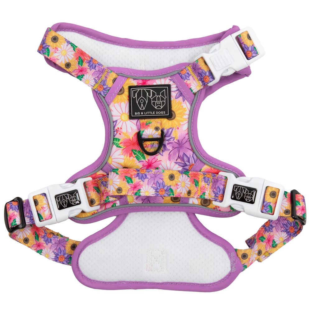 Big & Little Dogs All Rounder Harness: Spring Fling