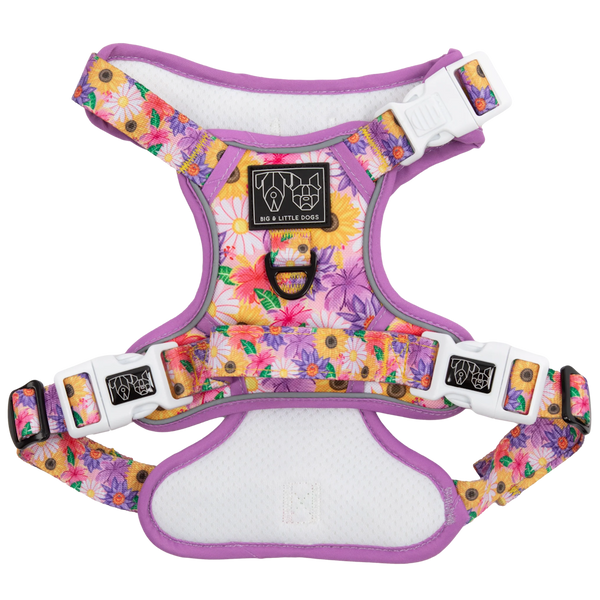 Big & Little Dogs All Rounder Harness: Spring Fling
