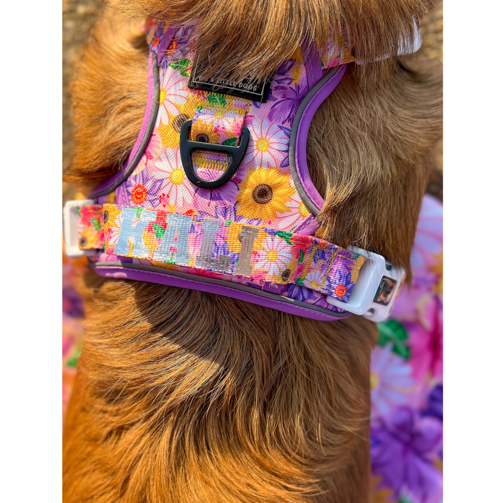 Big & Little Dogs All Rounder Harness: Spring Fling