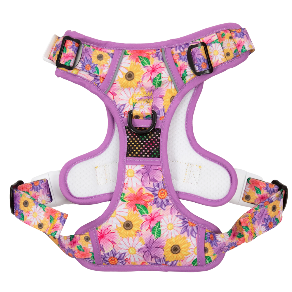 Big & Little Dogs All Rounder Harness: Spring Fling