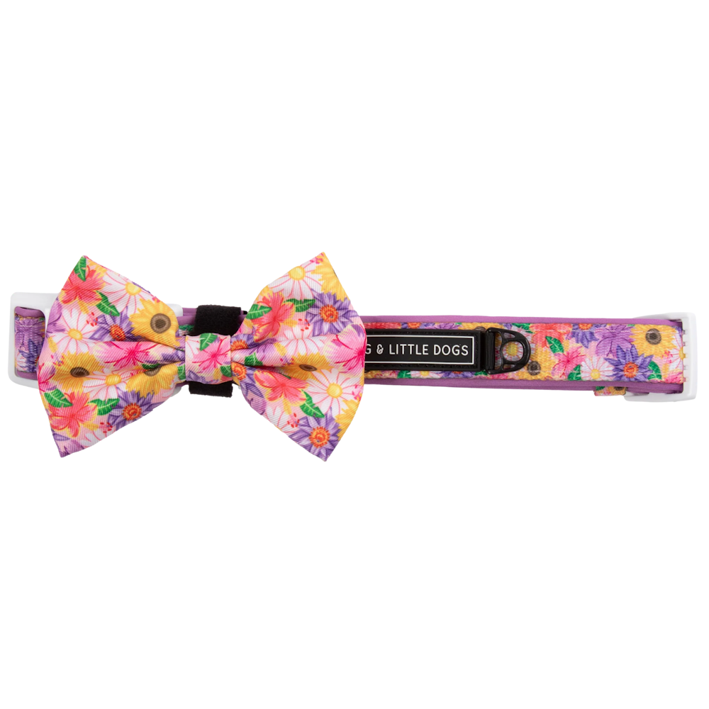 Big & Little Dogs Collar & Bow Tie: Spring Fling