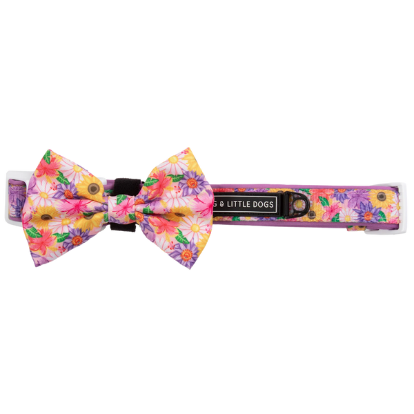 Big & Little Dogs Collar & Bow Tie: Spring Fling