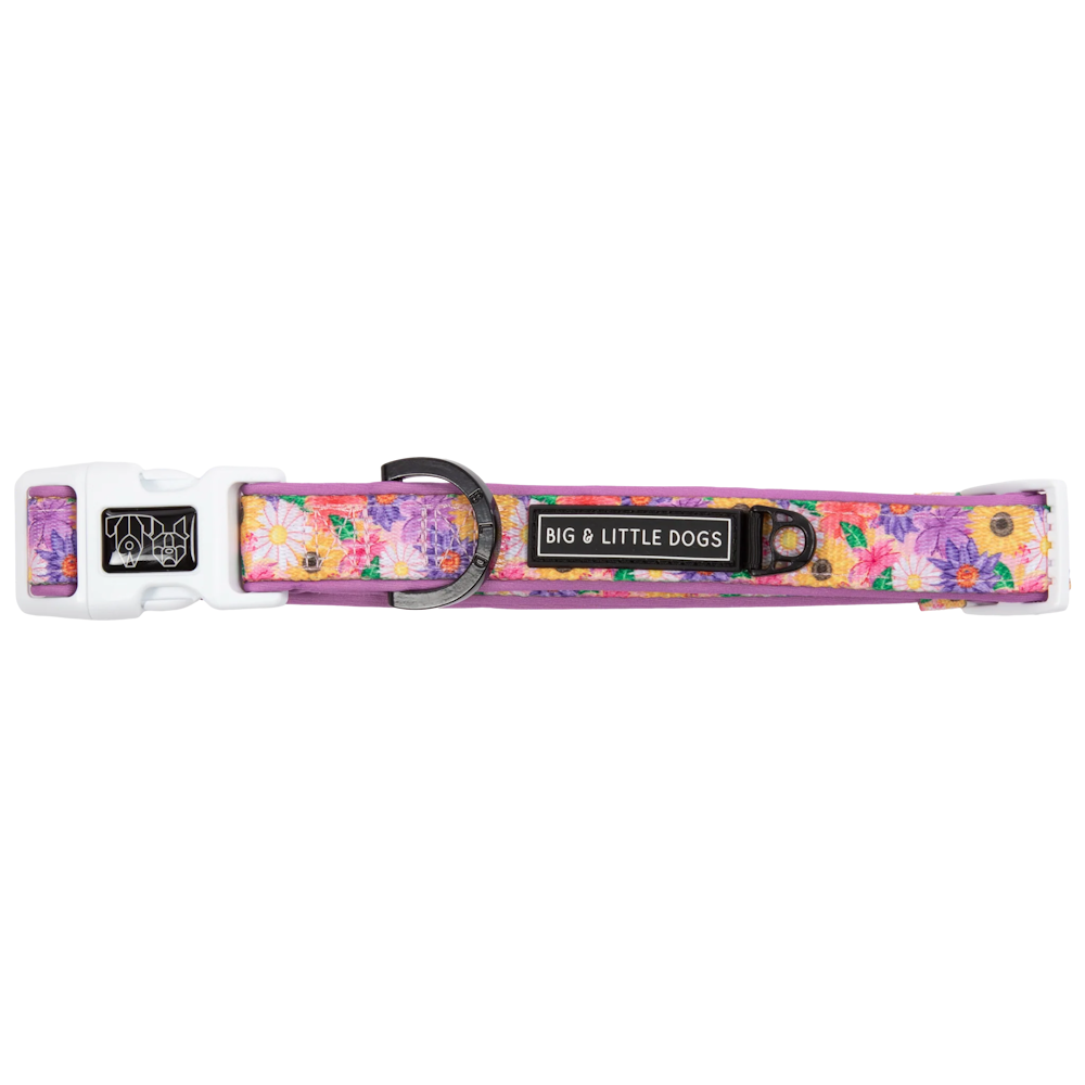 Big & Little Dogs Collar & Bow Tie: Spring Fling