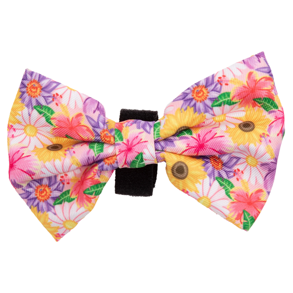 Big & Little Dogs Collar & Bow Tie: Spring Fling