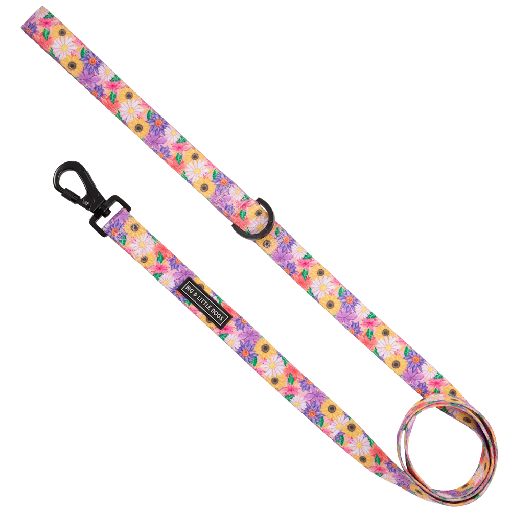 Big & Little Dogs Leash: Spring Fling