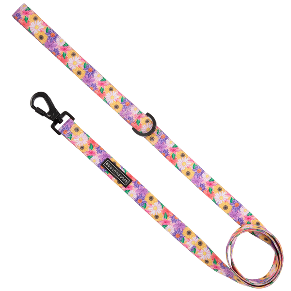 Big & Little Dogs Leash: Spring Fling
