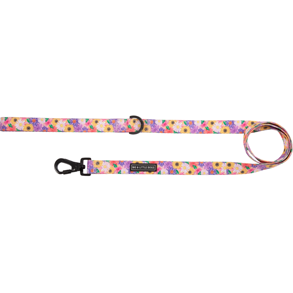 Big & Little Dogs Leash: Spring Fling
