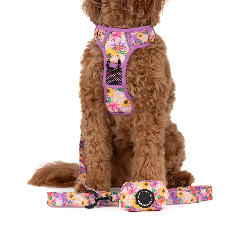 Big & Little Dogs Poop Bag Holder: Spring Fling