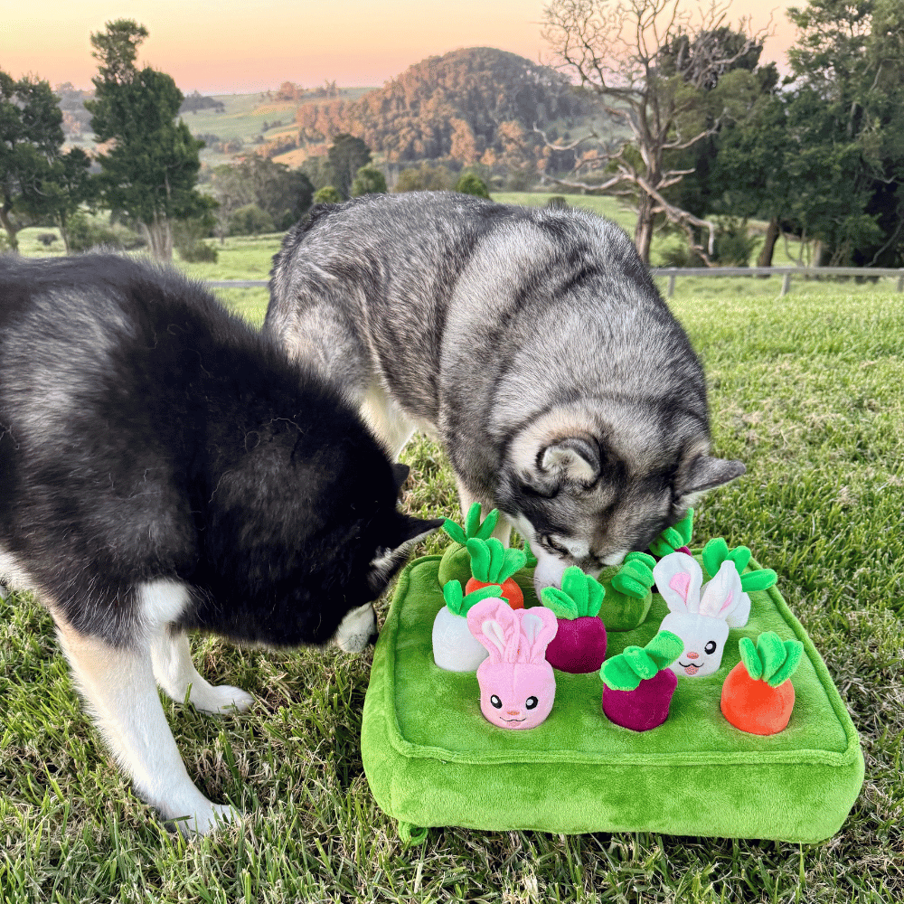 Bunny Garden Nose Work Toy