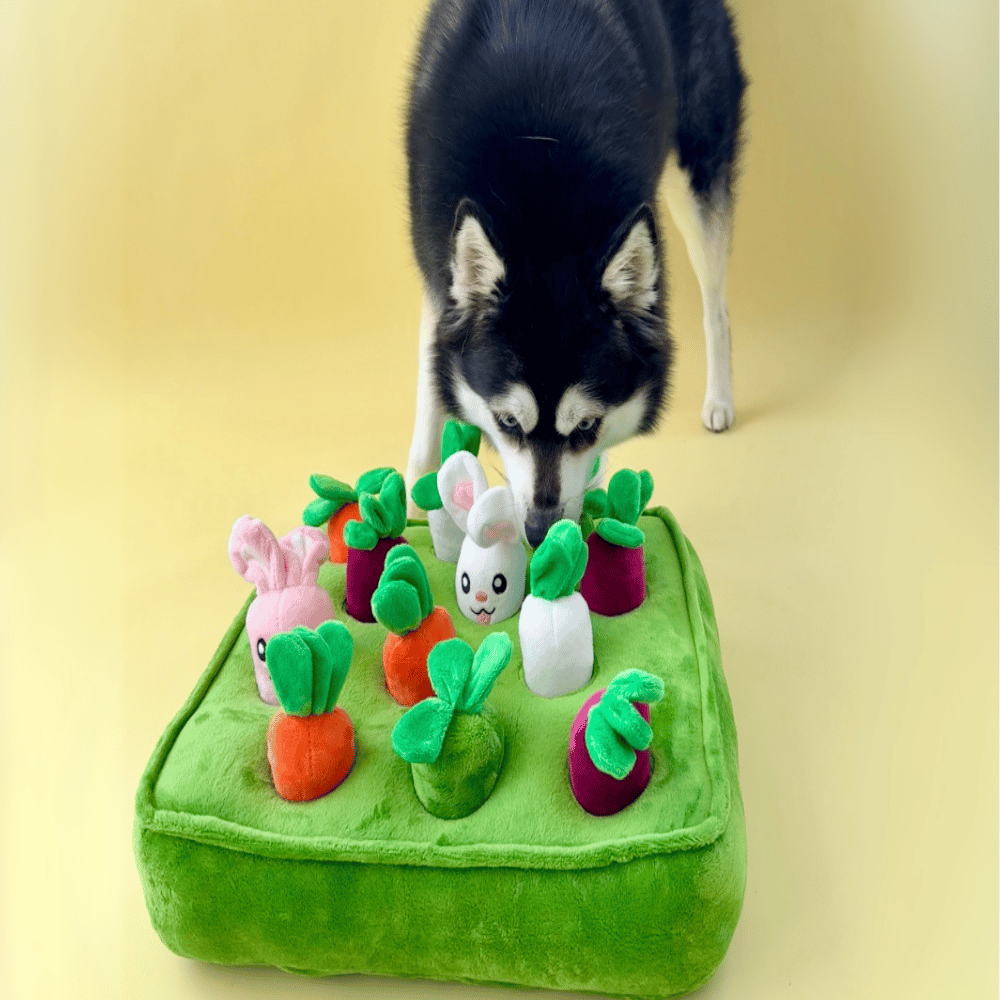 Bunny Garden Nose Work Toy