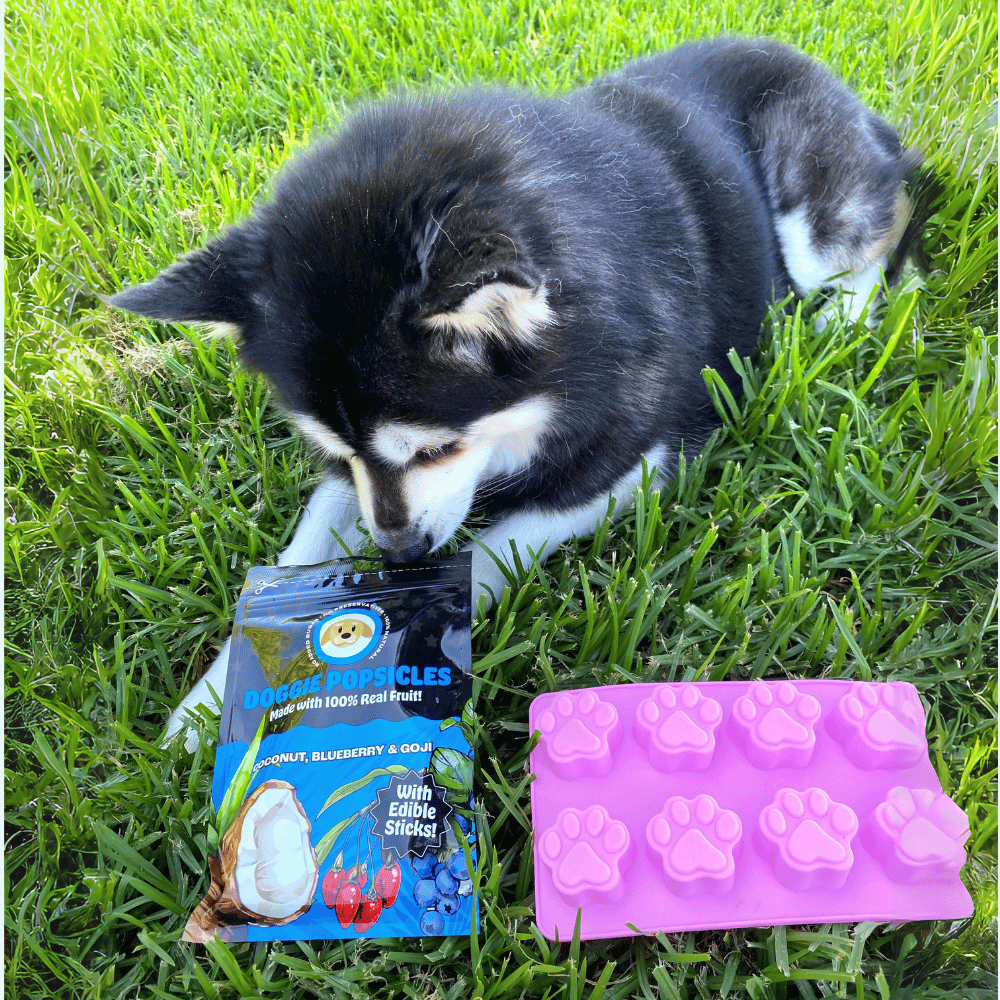 L'Barkery Doggie Pupsicles