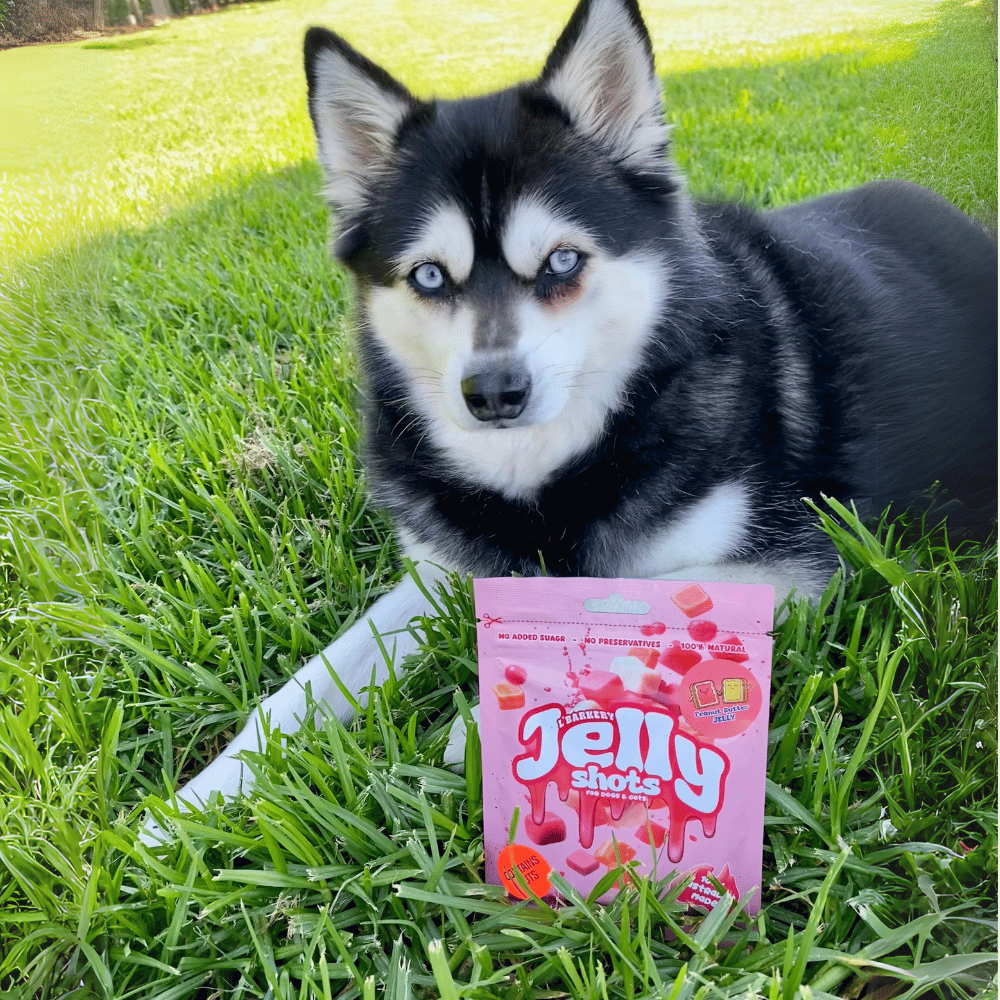 L'Barkery Jelly Shots - Peanut Butter n Jam